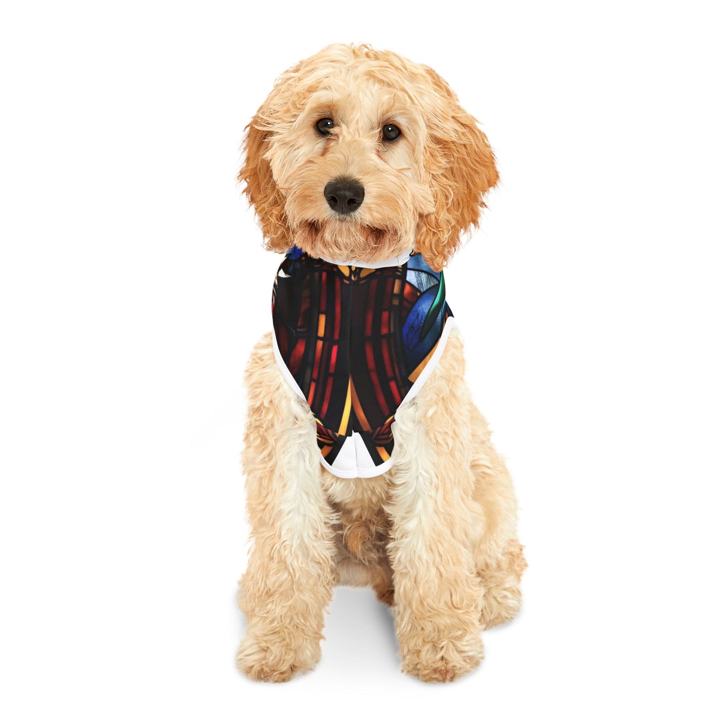 Legend of NerdCore Pet Hoodie