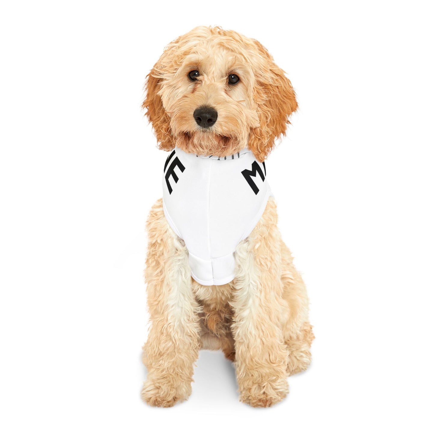 Masculine Gamer Energy Pet Hoodie