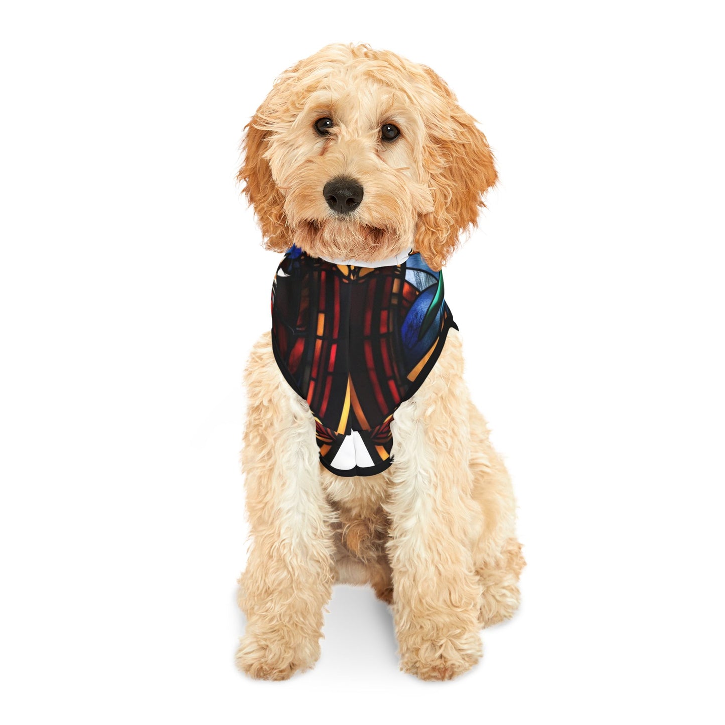 Legend of NerdCore Pet Hoodie